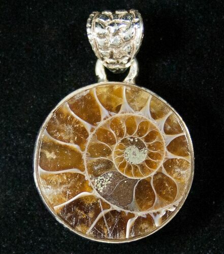 Fossil Ammonite Pendant - Sterling Silver #16769